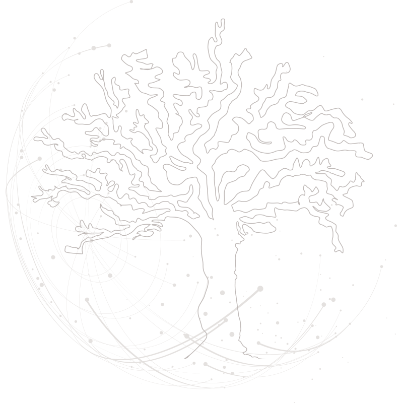Planete-Arbre